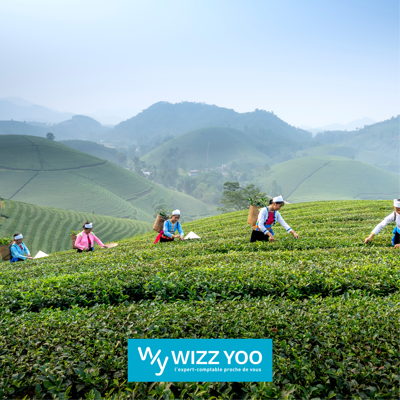 emploi-saisonnier-job-été-wizz-yoo