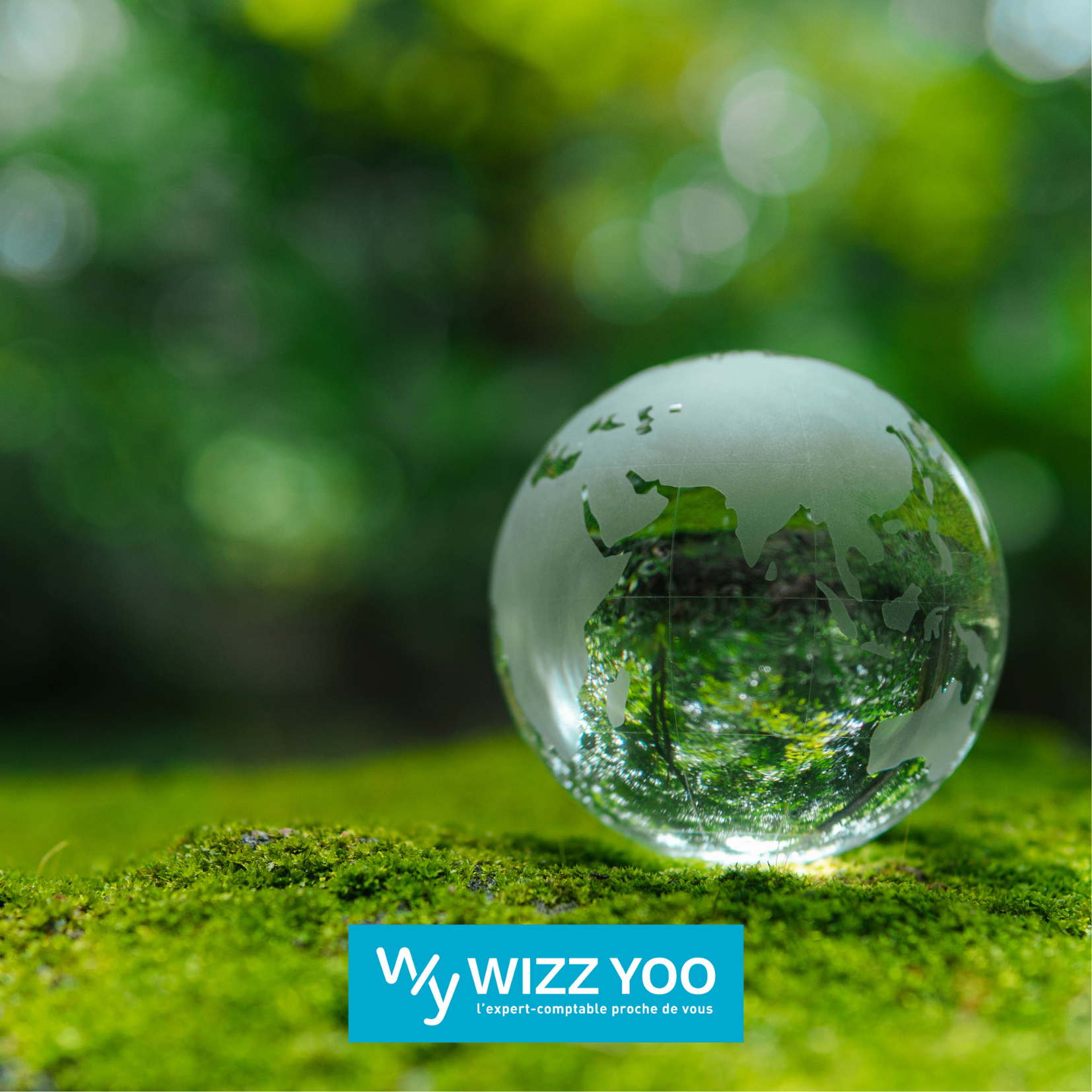 La-finance-durable-un-enjeu-pour-les-TPE-et-PME-wizz-yoo
